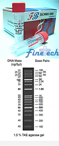 0.1-10Kb DNA Ladder