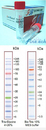 Protein Ladder(3.5-245kDa)